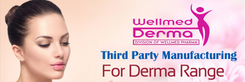 best dermatology third party manufacturing in chandigarh