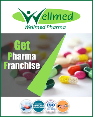 Best Franchise PCD in Chandigarh Wellmed Pharma